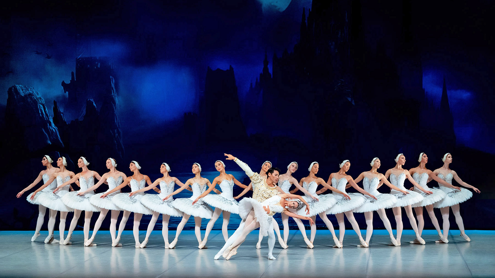 Swan Lake Image
